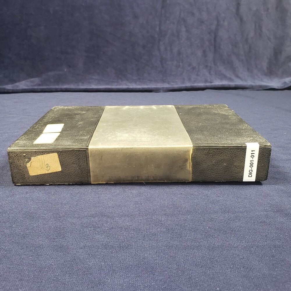 DIG-001-011.jpg