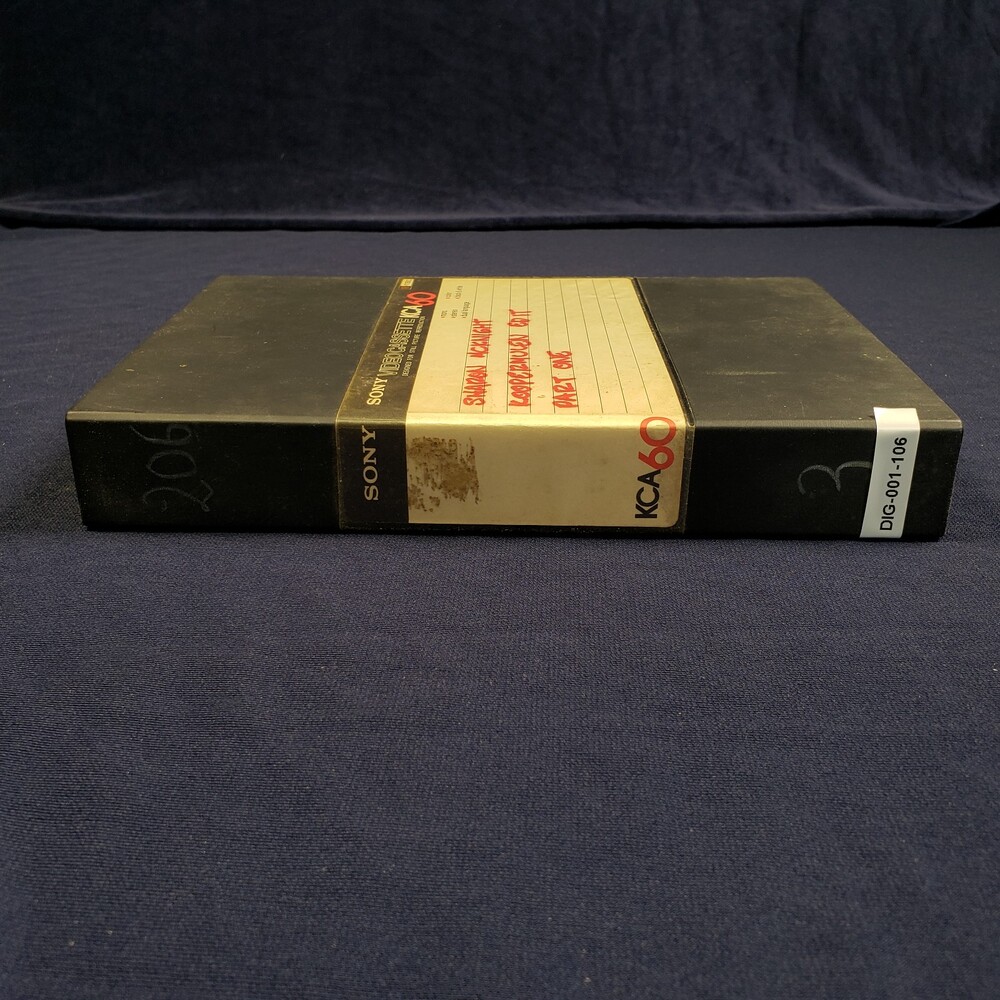 DIG-001-106.jpg