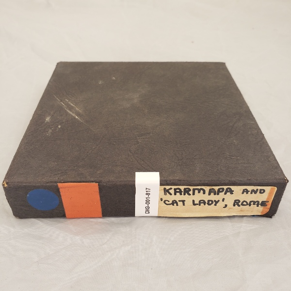 DIG-001-817.jpg